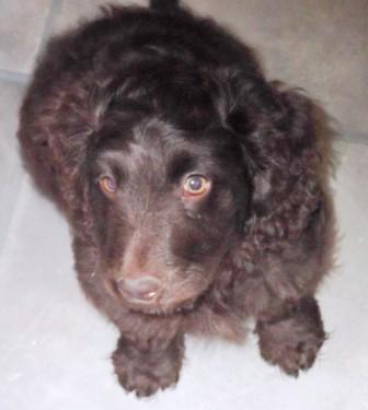 Tuesday Ride 15th Jan 2013