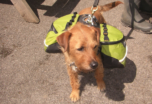 Sunday Ride: 12th May 2013