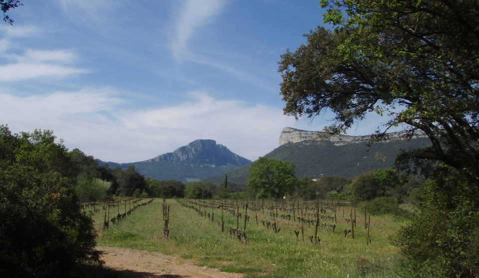 John D’s trip to Montpellier John D’s trip to Montpellier