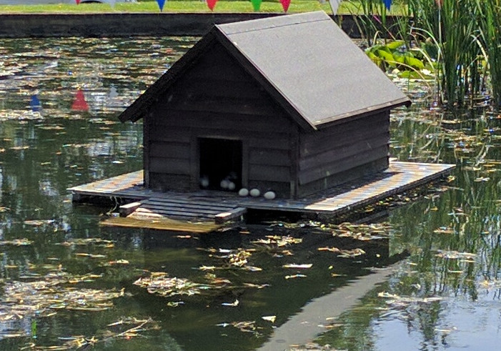 Thursday Ride: 9th June 2016