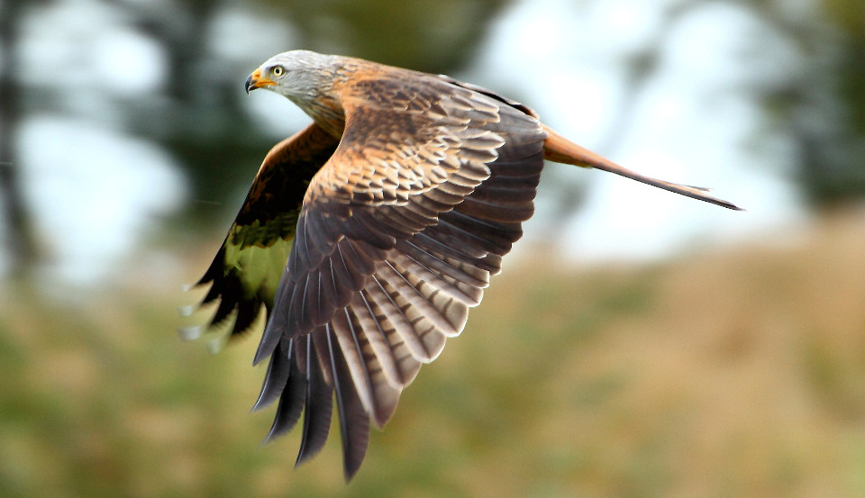 Thursday Ride: 8th September 2016