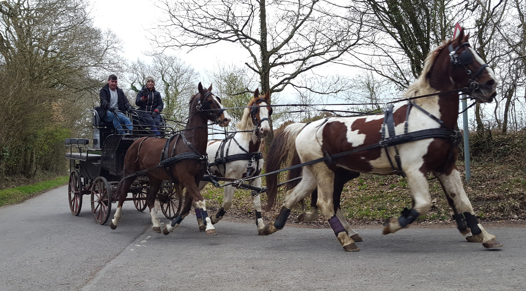 Sunday Ride: 19th March 2017 Sunday Ride: 19th March 2017