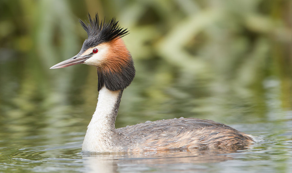 Saturday Ride: 15th July 2017