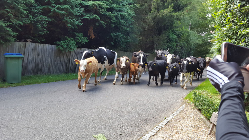 Sunday Ride: 20th August 2017