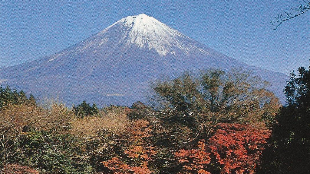 Turnbull Tours: Japan 1984