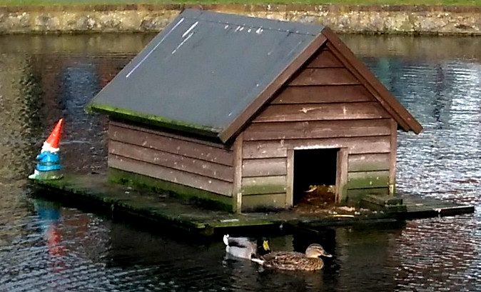 Sunday Ride: 4th February 2018