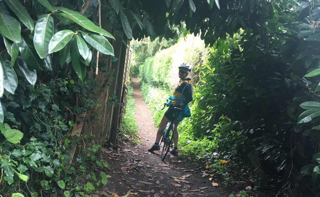 Saturday Ride: 12th May 2018