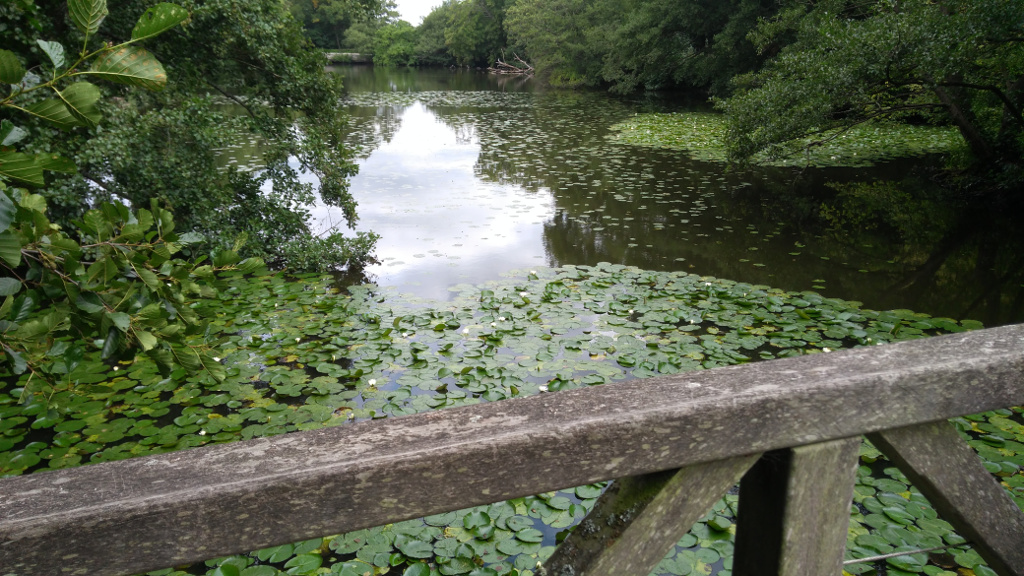 Tuesday ‘A’ Ride: 28th August 2018