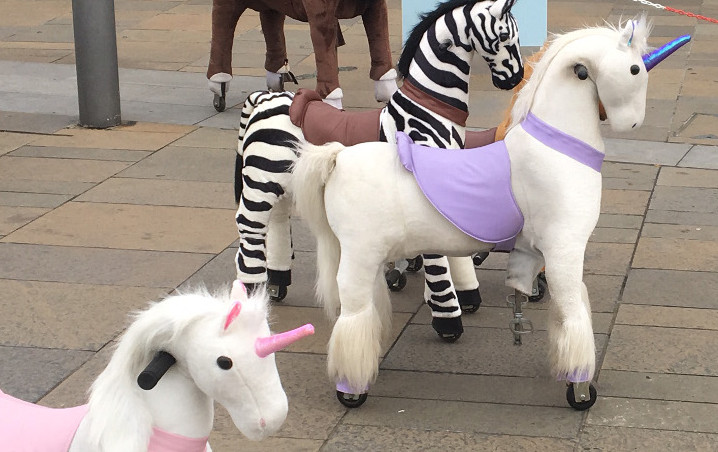 Saturday Ride: 29th December 2018