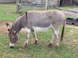 Sunday Safari: 28th July