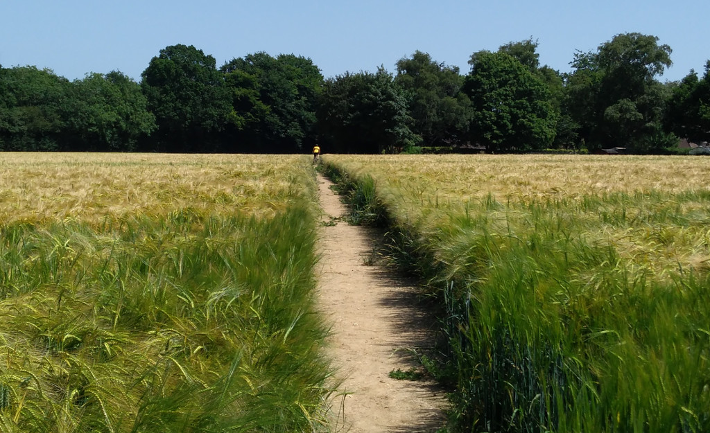 Saturday Ride: 29th June 2019 Saturday Ride: 29th June 2019