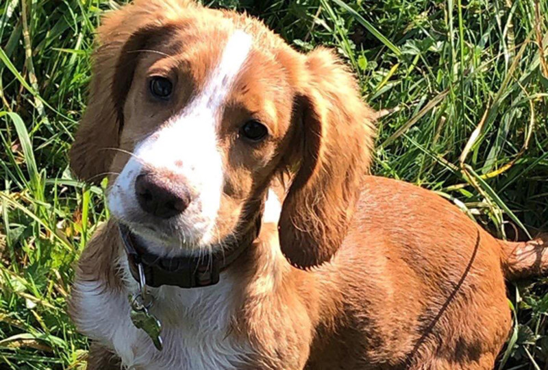 Saturday Ride: 16th November 2019 Saturday Ride: 16th November 2019