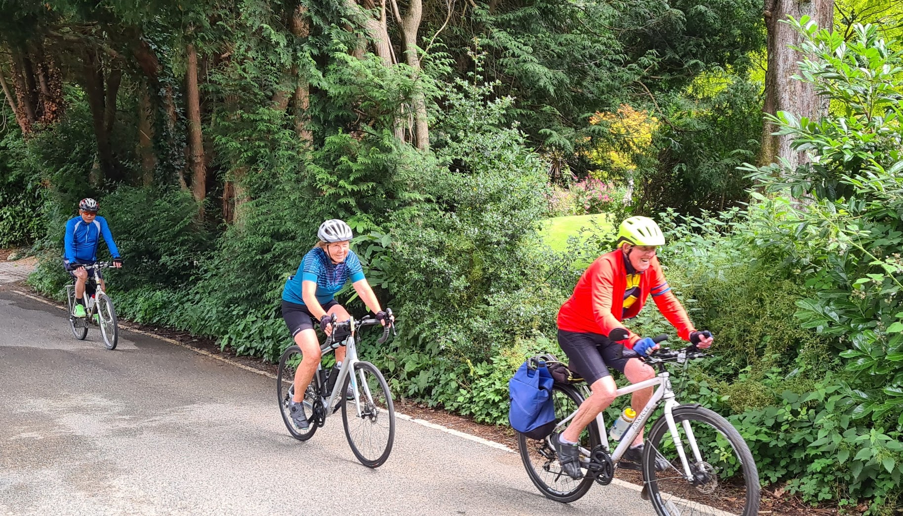 At Last a Sunny Sunday!