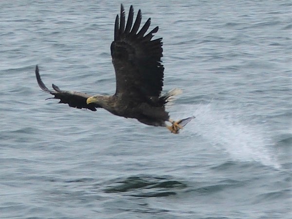 My Western Isles and Lake District Adventures – Part 1