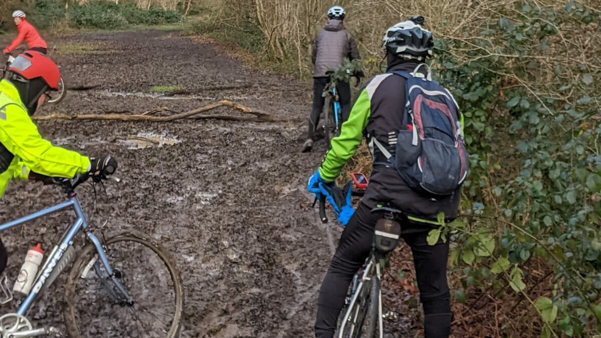 Anerley Gazette, February 2022