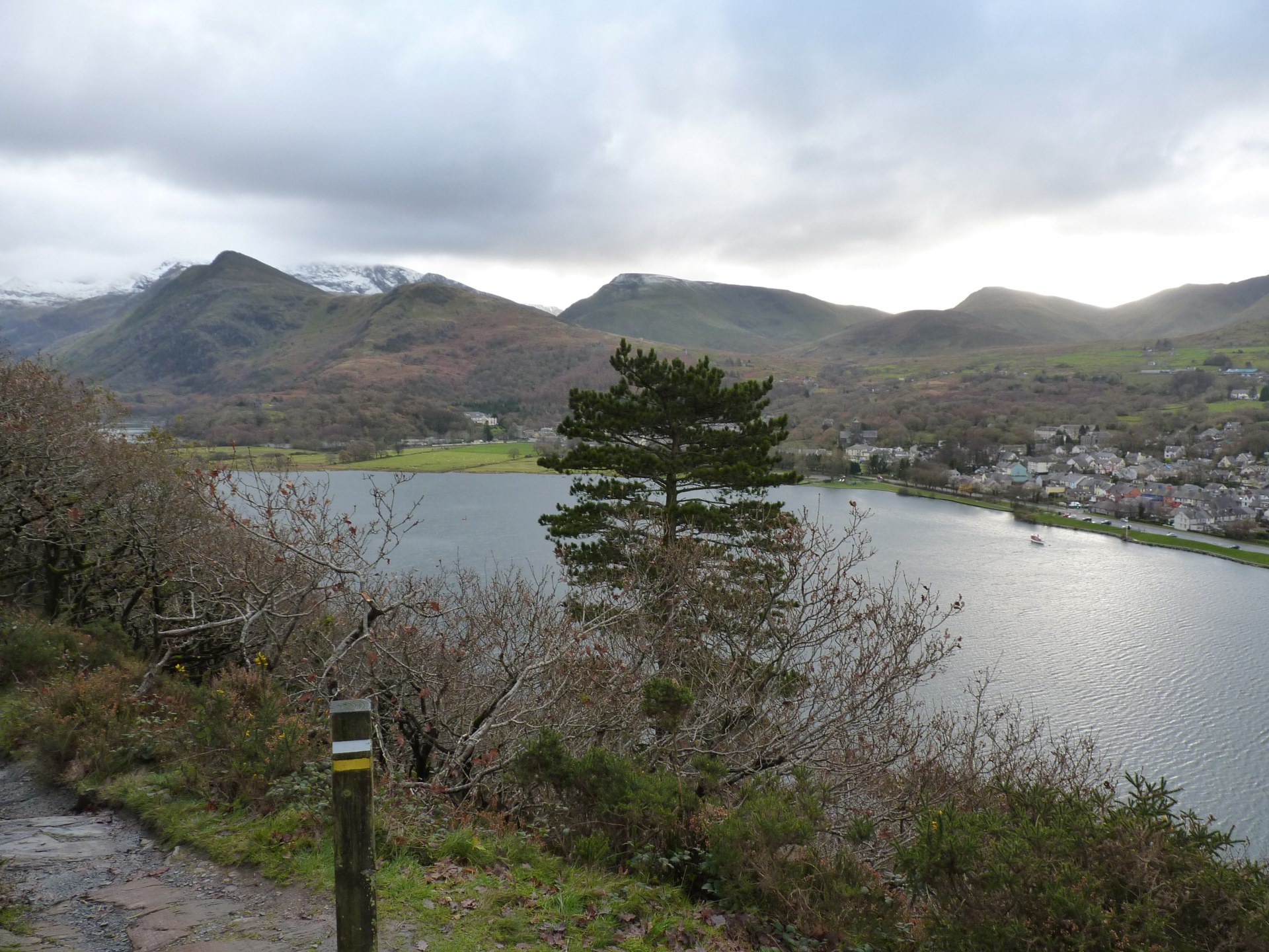 Beauty and the Beast!