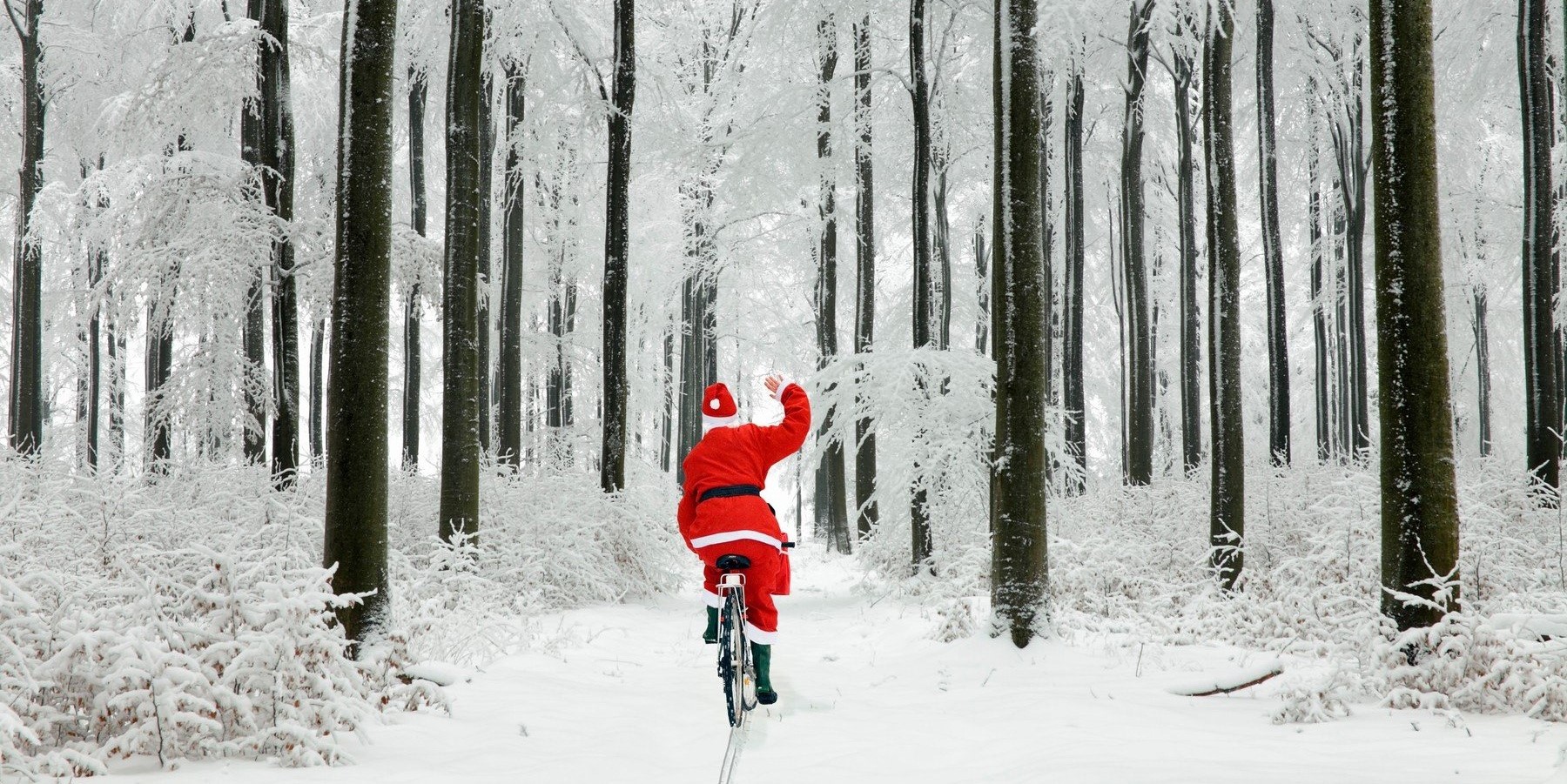 The Anerley Gazette – December 2023